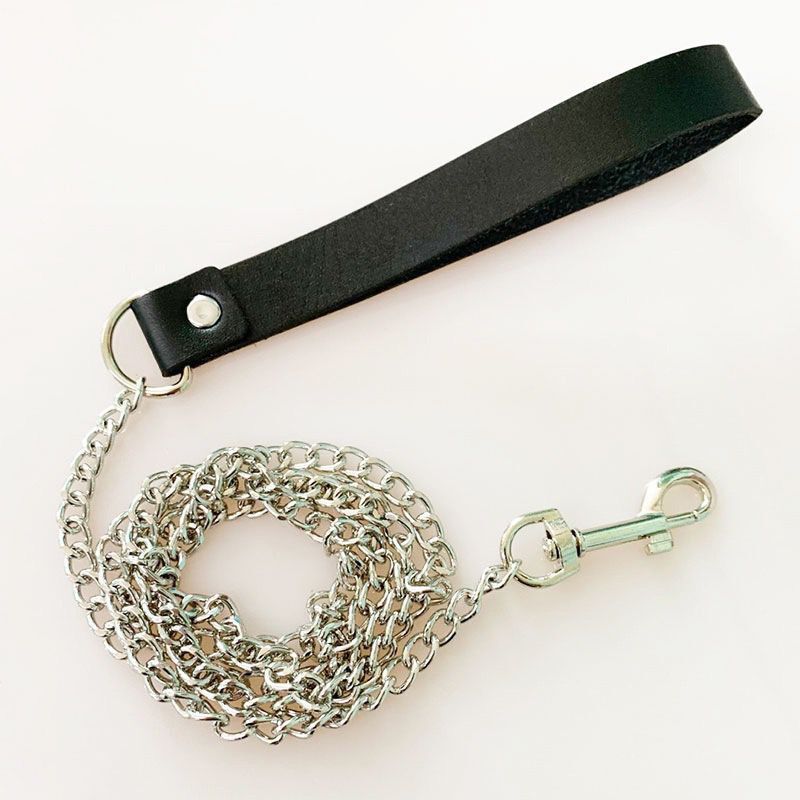 Velora Heart Collar & Chain Leash Set view 4